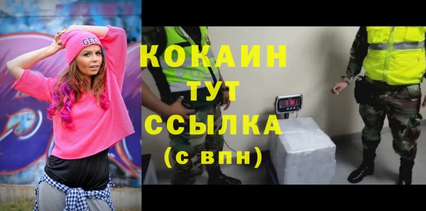 тгк Алзамай
