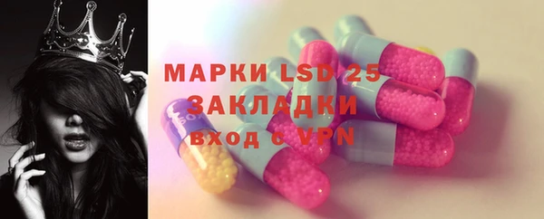 тгк Алзамай