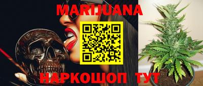 сатива Заволжье