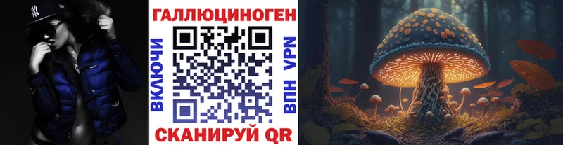 гидра зеркало  Новошахтинск  Галлюциногенные грибы Psilocybe  как найти закладки 