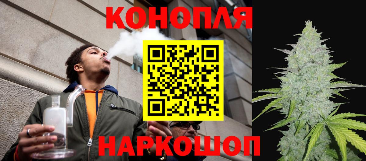 Бошки Шишки сатива Новошахтинск